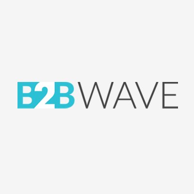 B2b Wave Logo