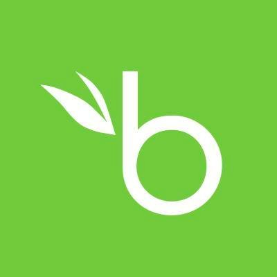 Bamboohr Logo