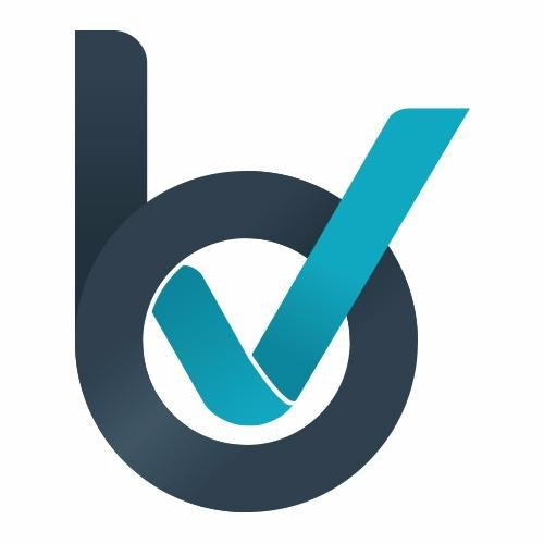 Briteverify Logo